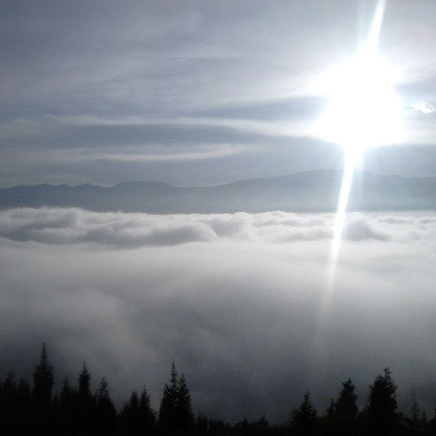 GA3-240202501-AA1-EV02