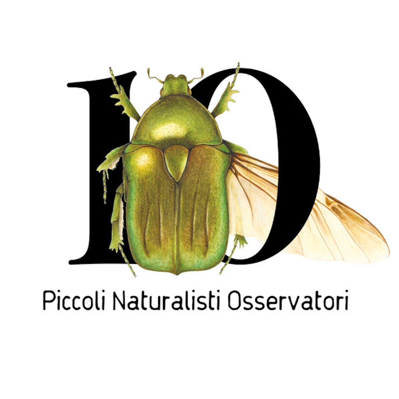 PiNO - Piccoli Naturalisti Osservatori - 2 - "In riva al mare" e "Ortica" episode artwork