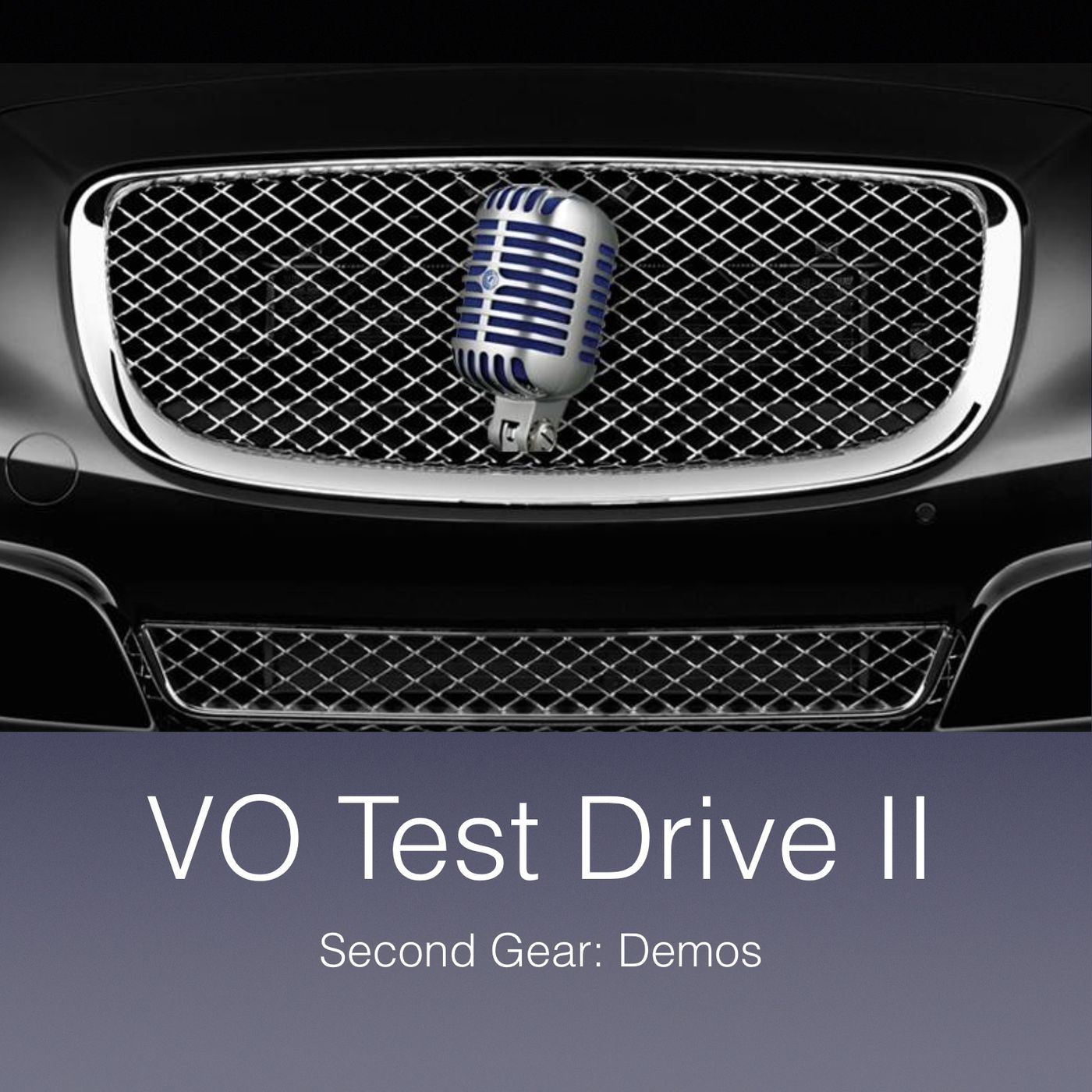 Voiceover Sermons with Terry Daniel