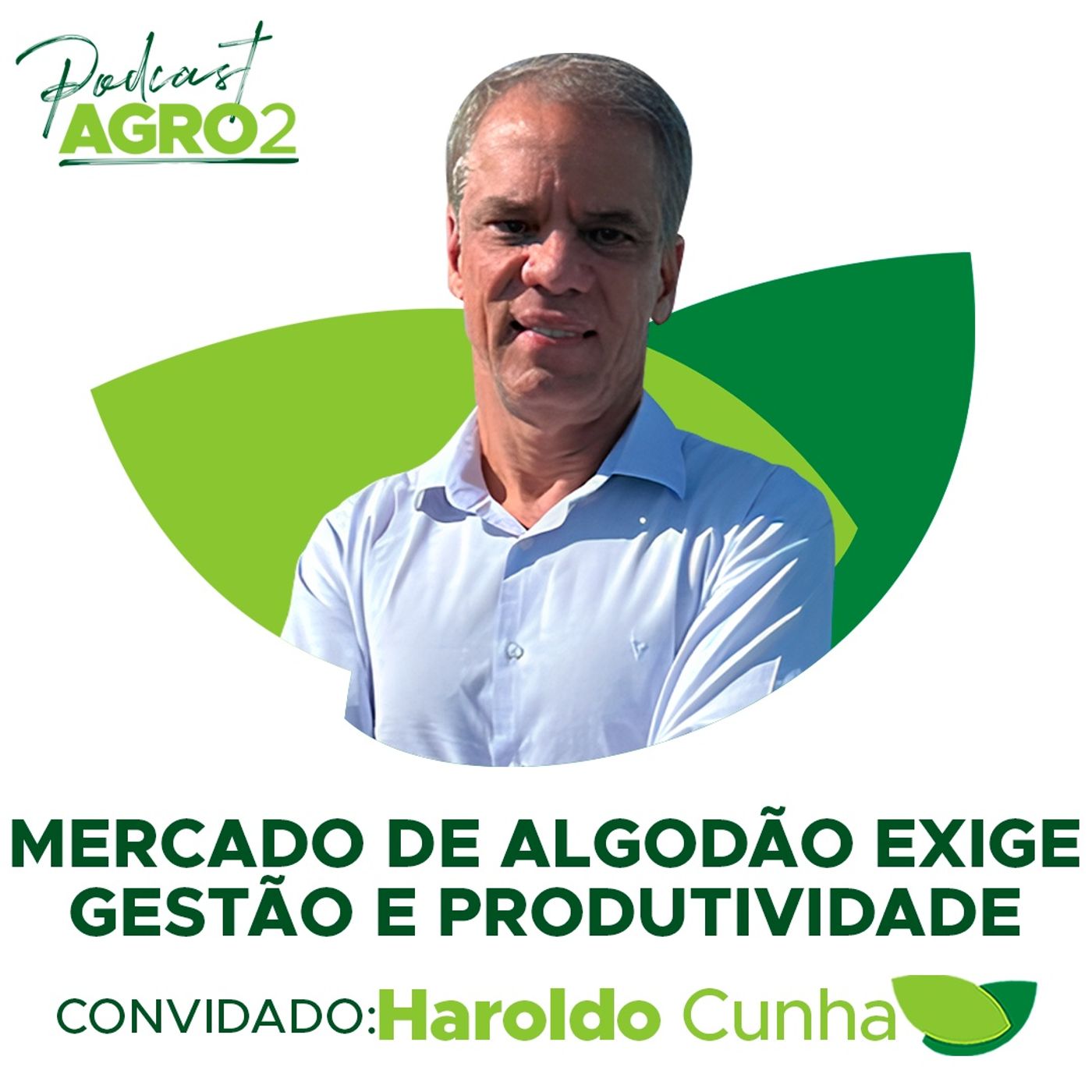 Mercado de algodão com preços em baixa exige maior gestão e produtividade para ser rentável #281 episode artwork