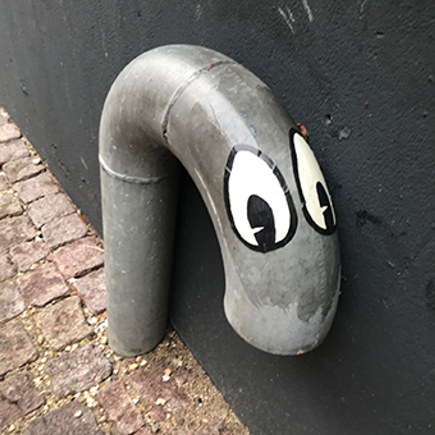 Se dig for