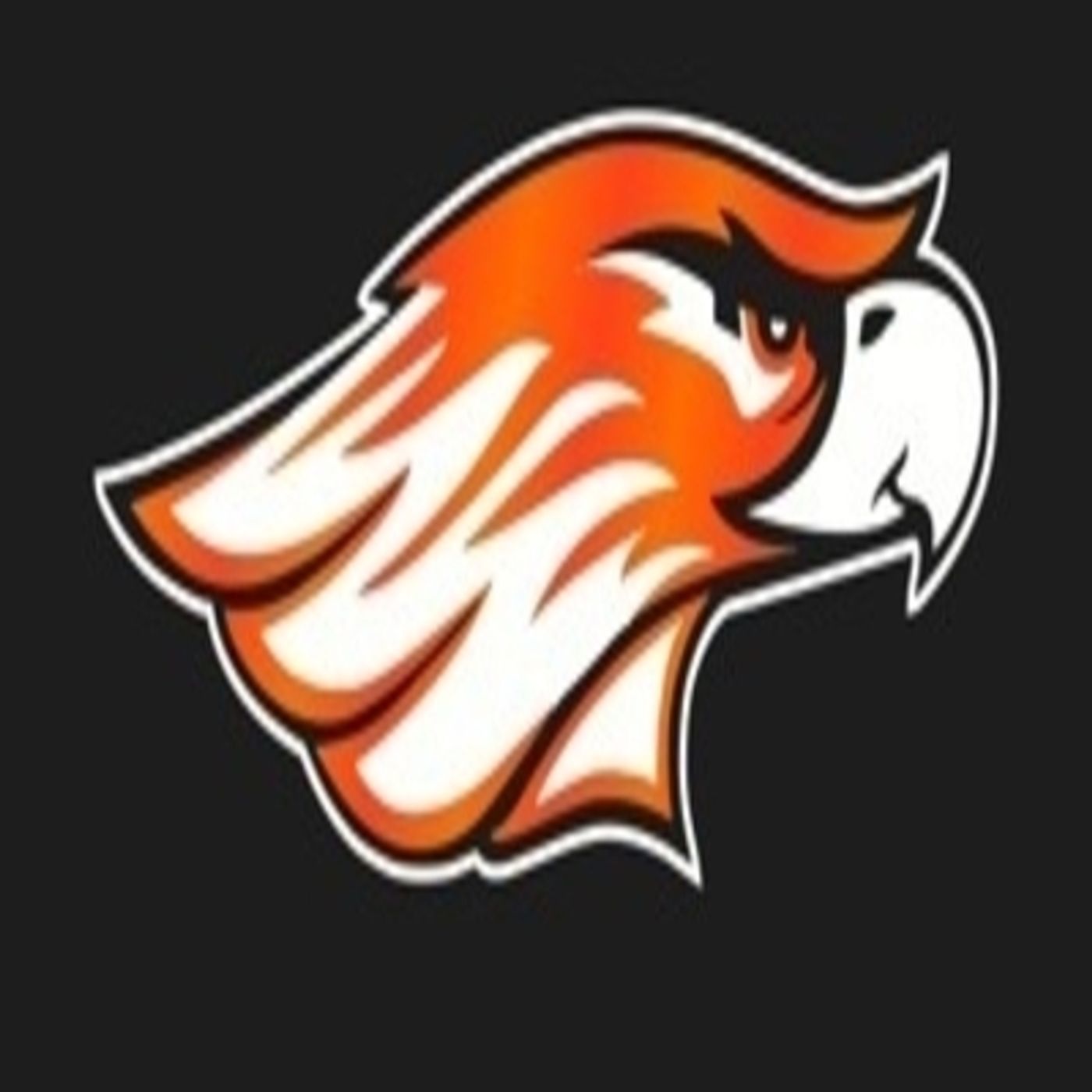 Hawk Nation 11-30-18
