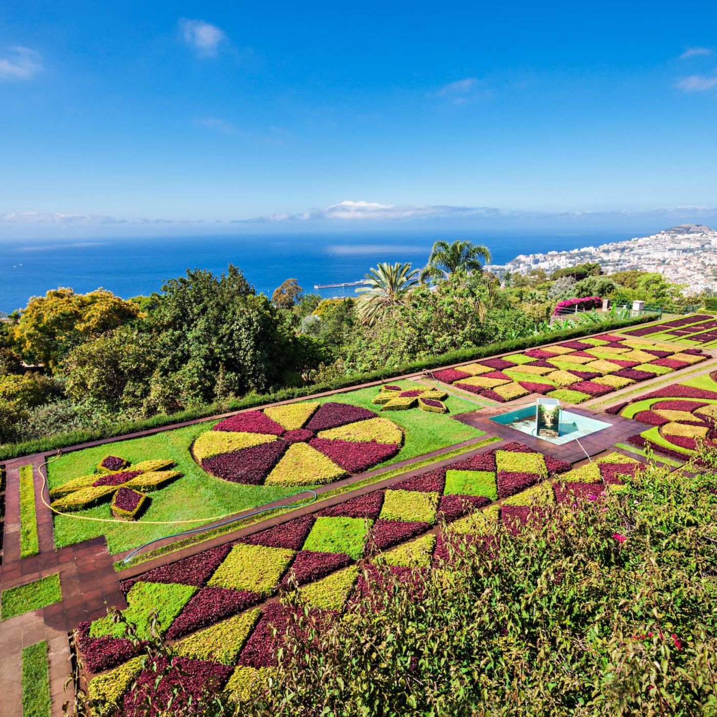 Madeira il giardino tropicale  galleggiante episode artwork