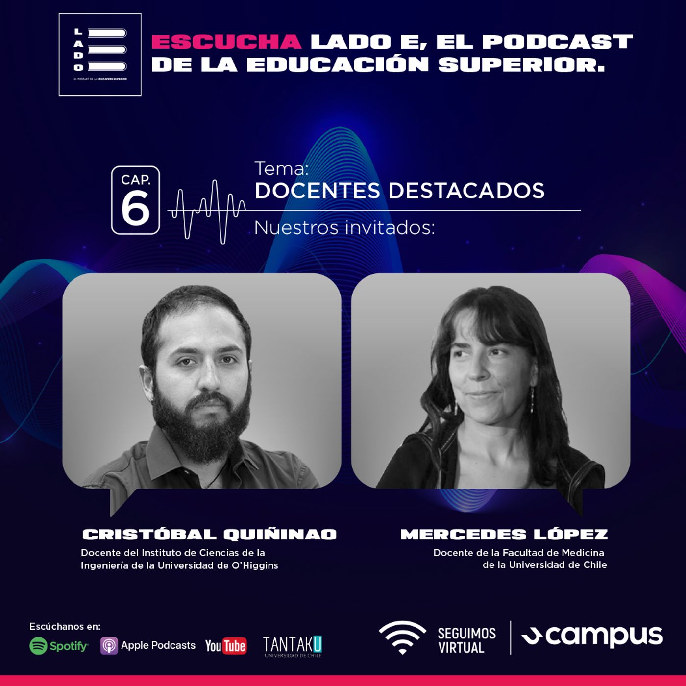 Capítulo 6: Docentes destacados