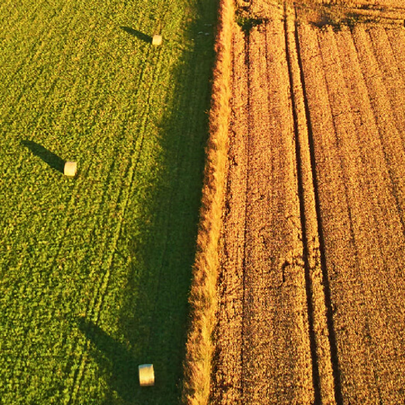 Voces del campo agrario