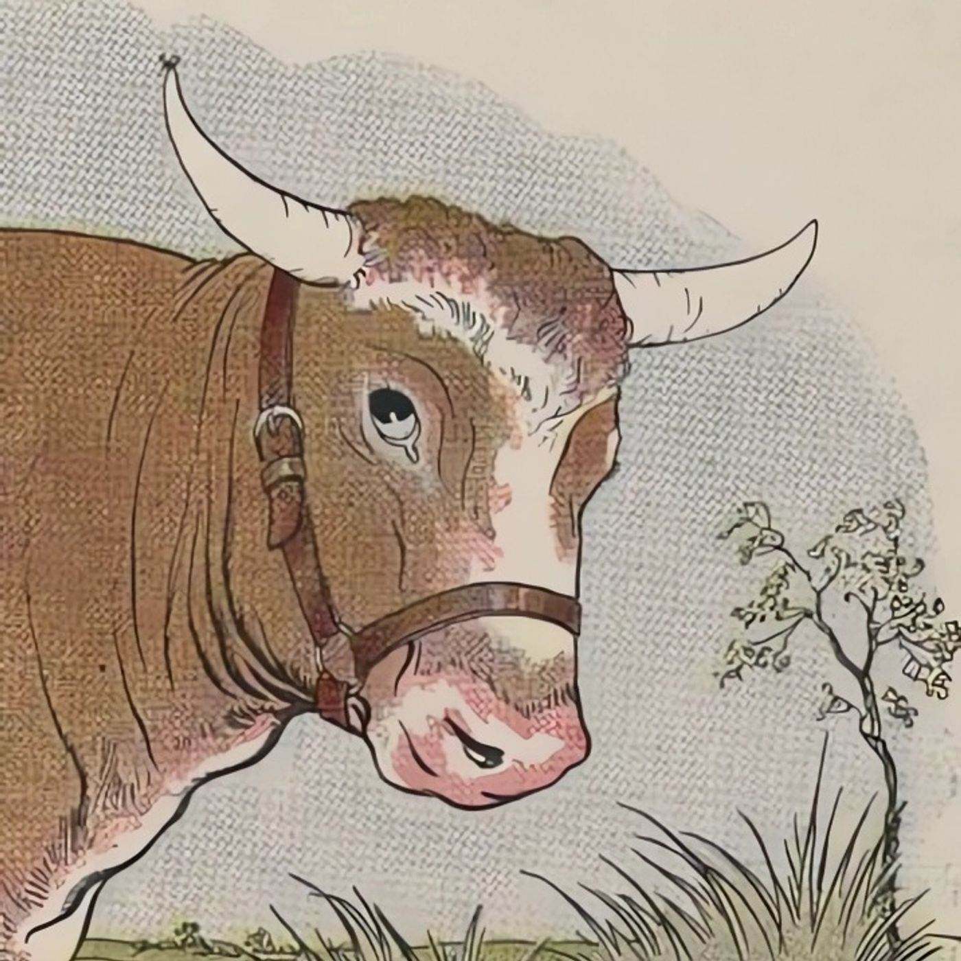 De Mug en de Stier | Fabels van Aesopus episode artwork