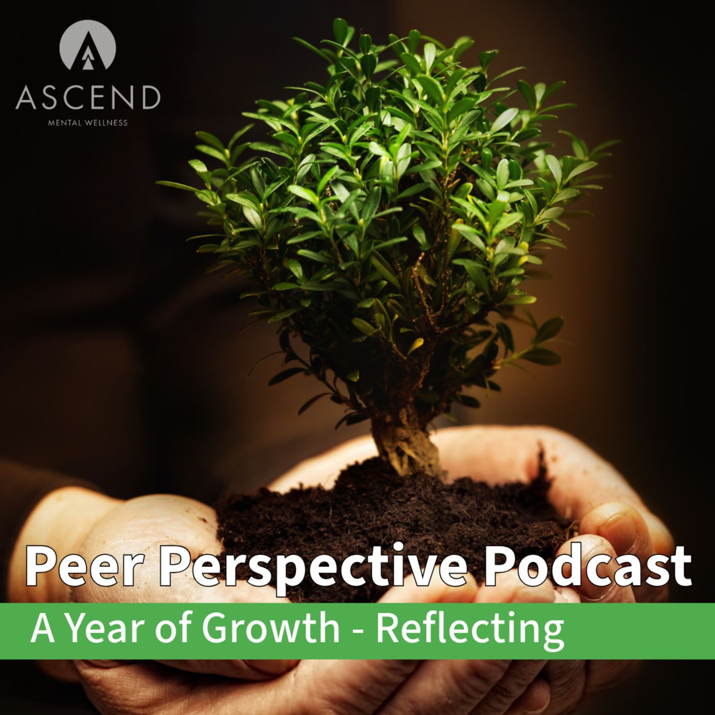 Peer Perspective