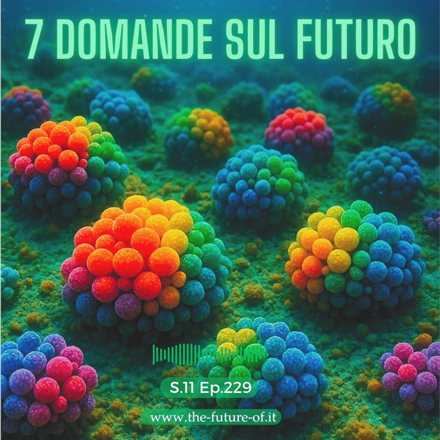 S.11 Ep.229 - 7 domande sul futuro
