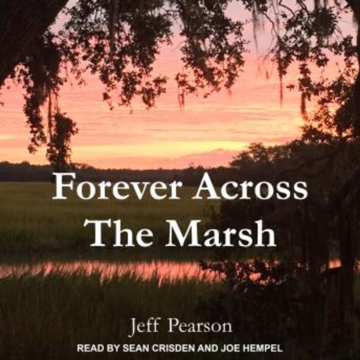 Listen to Best Full Audiobooks in Fiction, Drama