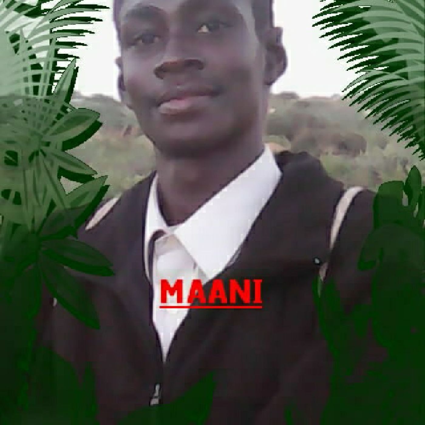 Sulayman Waan\'s show