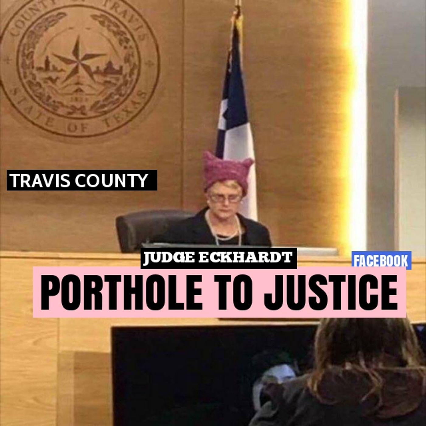 Porthole to justice womens march media disinformation episode artwork