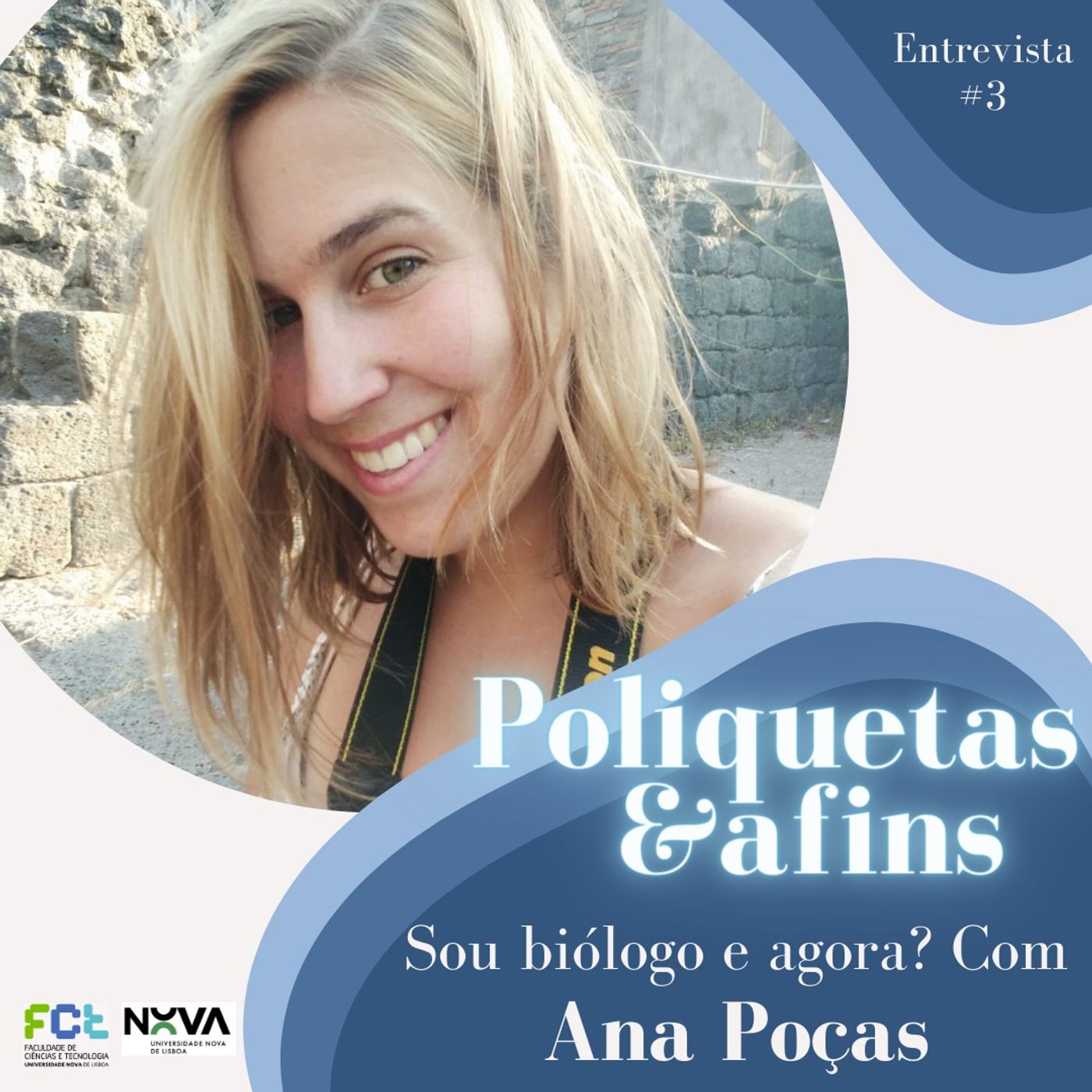 Poliquetas e afins