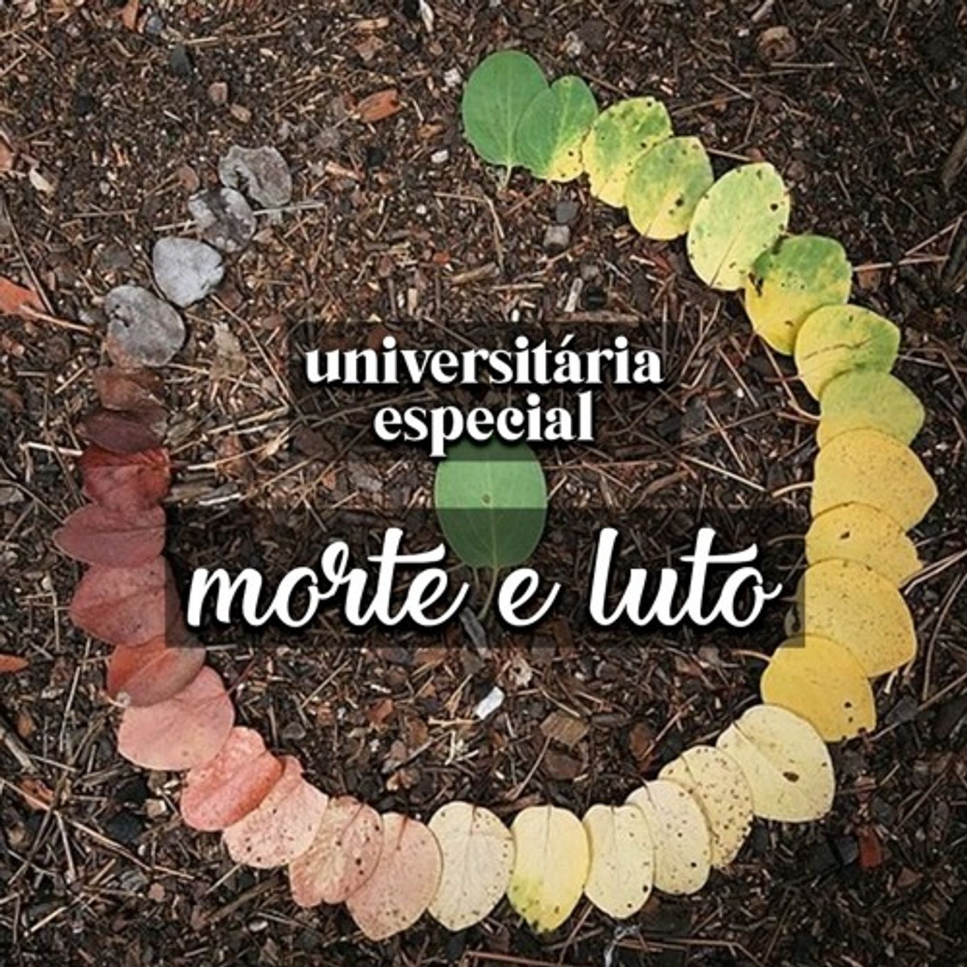Universitária Especial