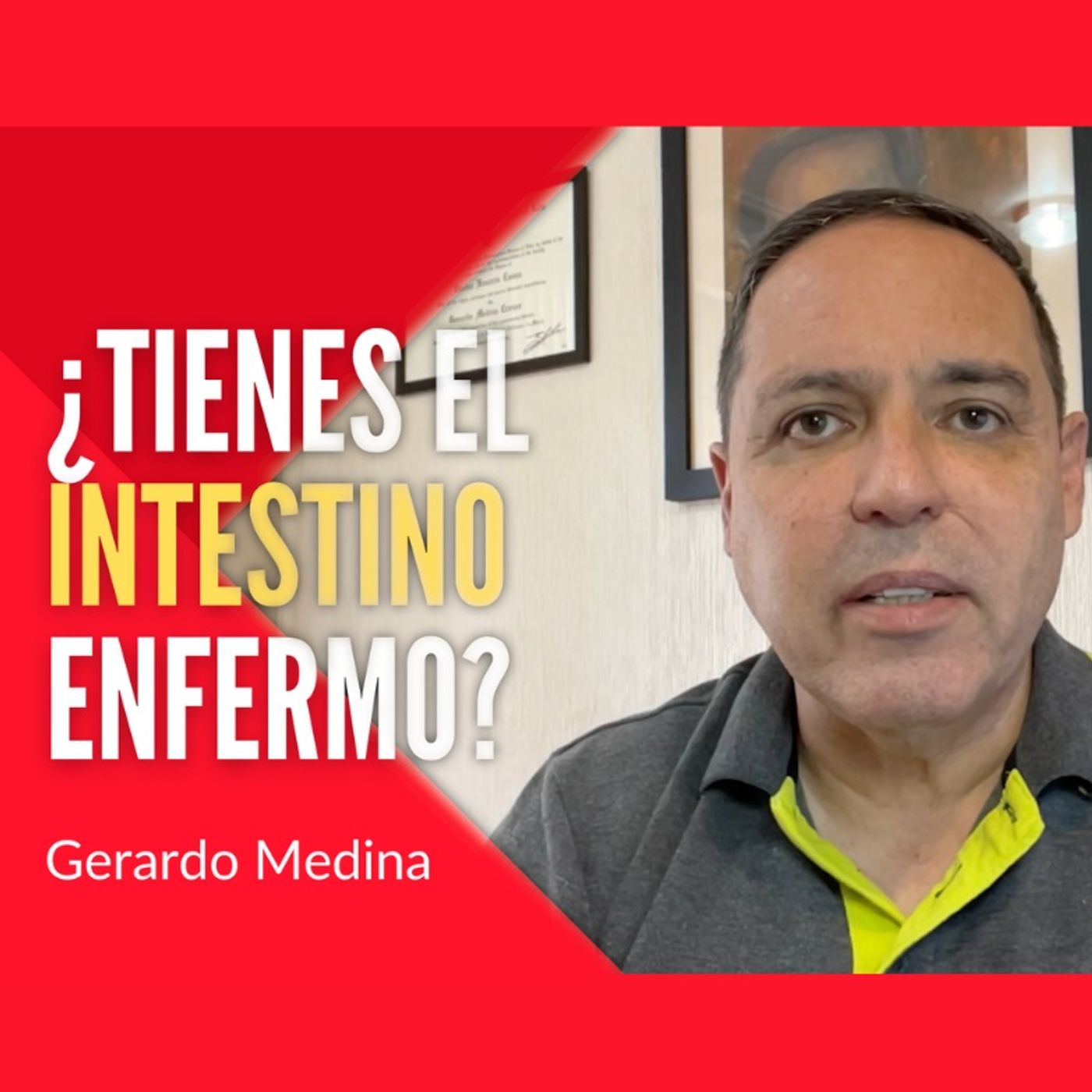 😫 Sabes cómo afecta su salud intestinal a su salud general?