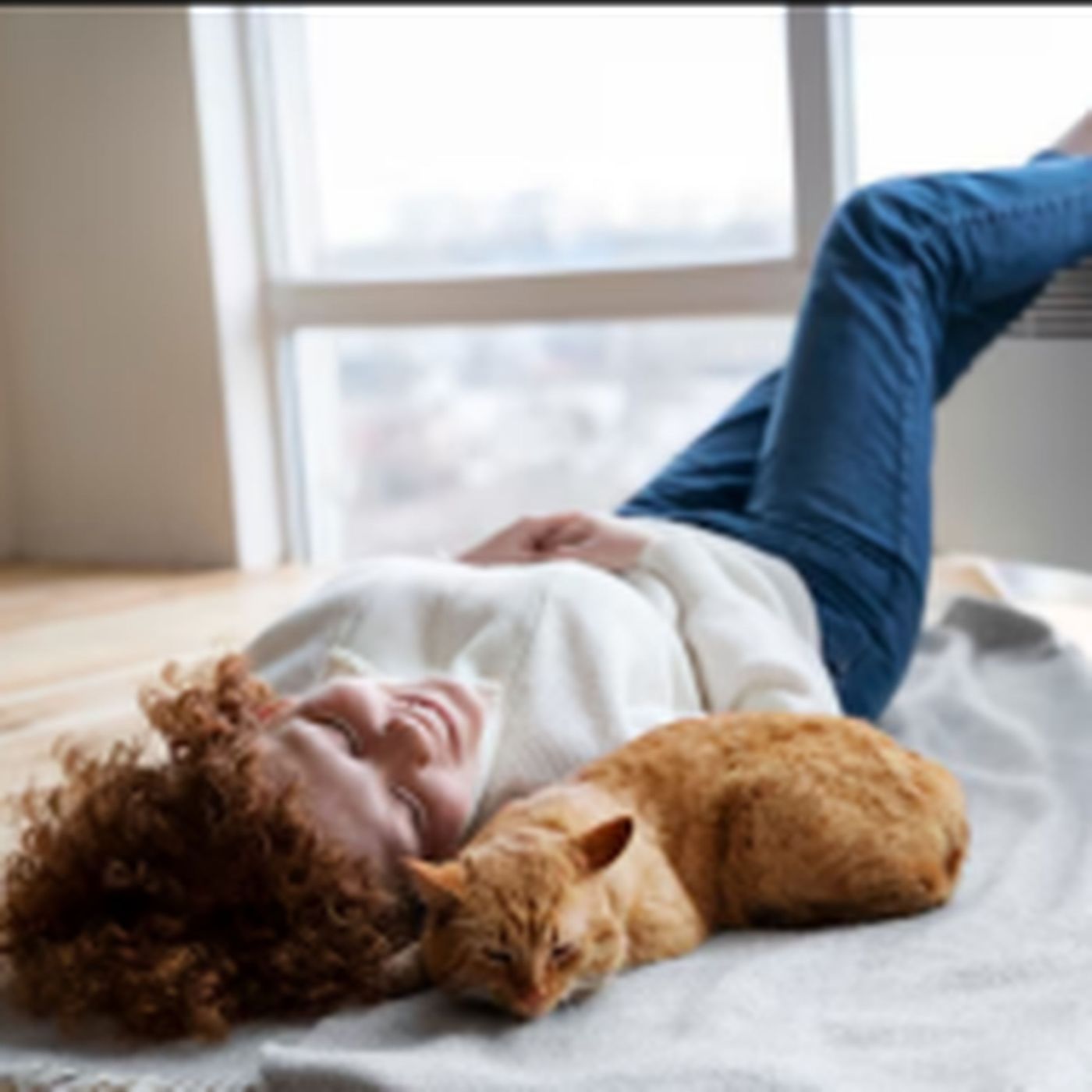 Buy the Best 17x25x4 HVAC & Furnace Air Filters for Home