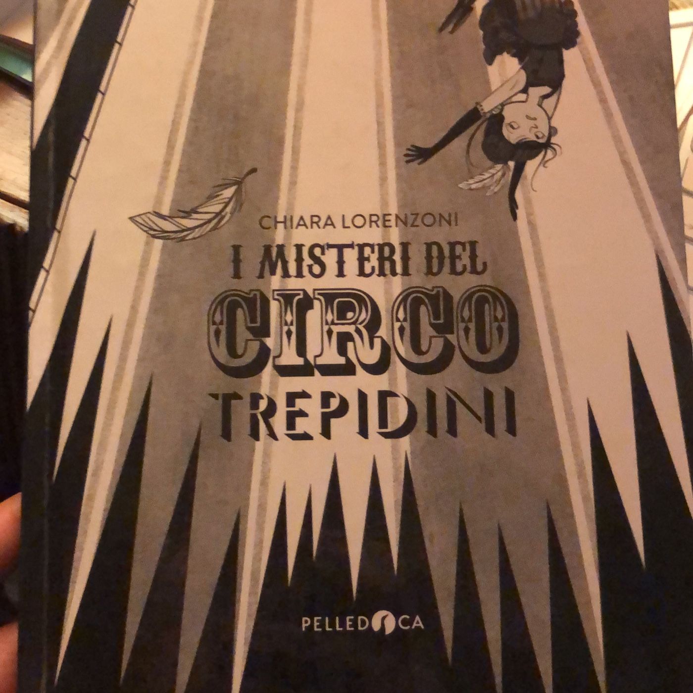 Copertina di Il mistero del circo Trepidini