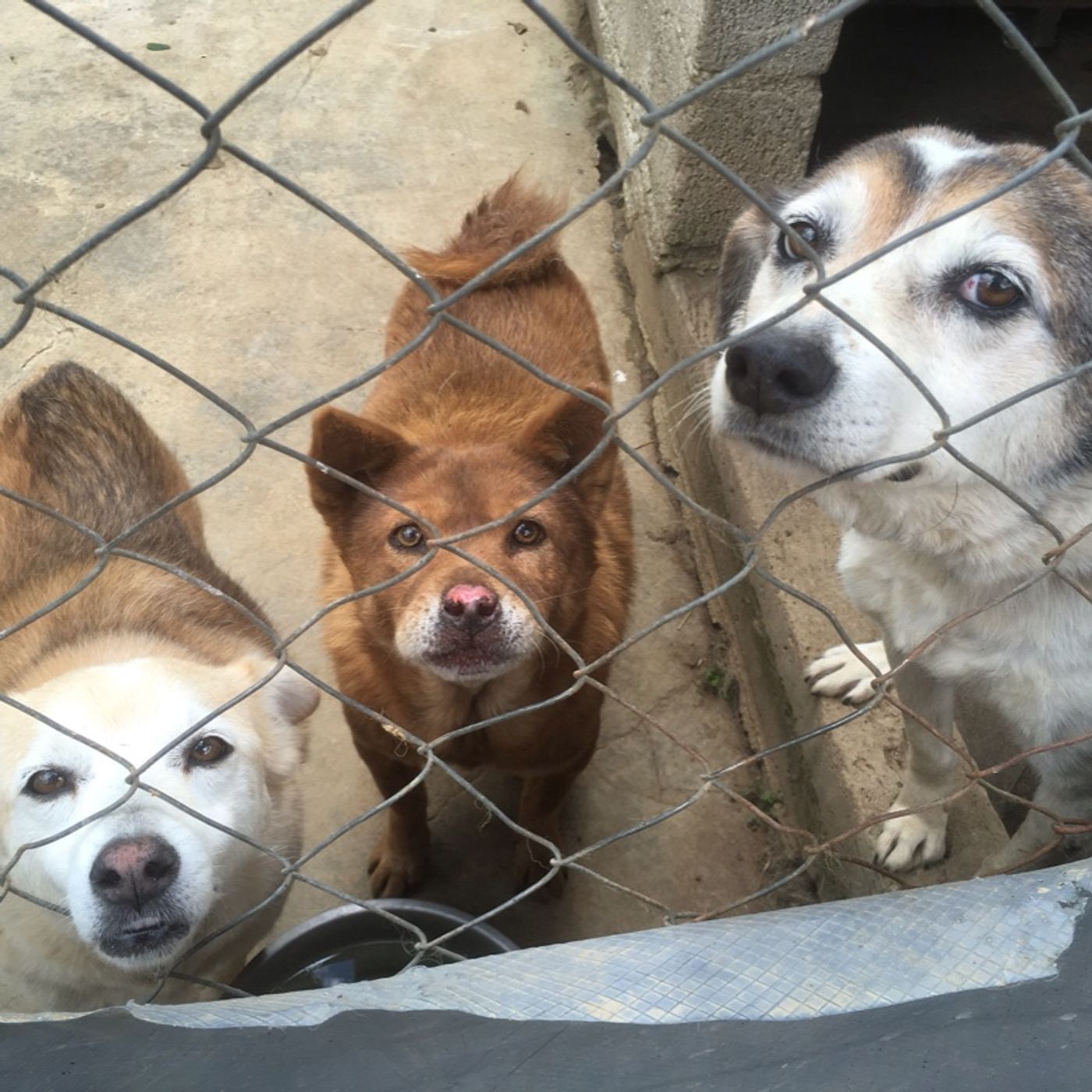 Episode 6 - julie and marni discuss sickly childhood and teeth