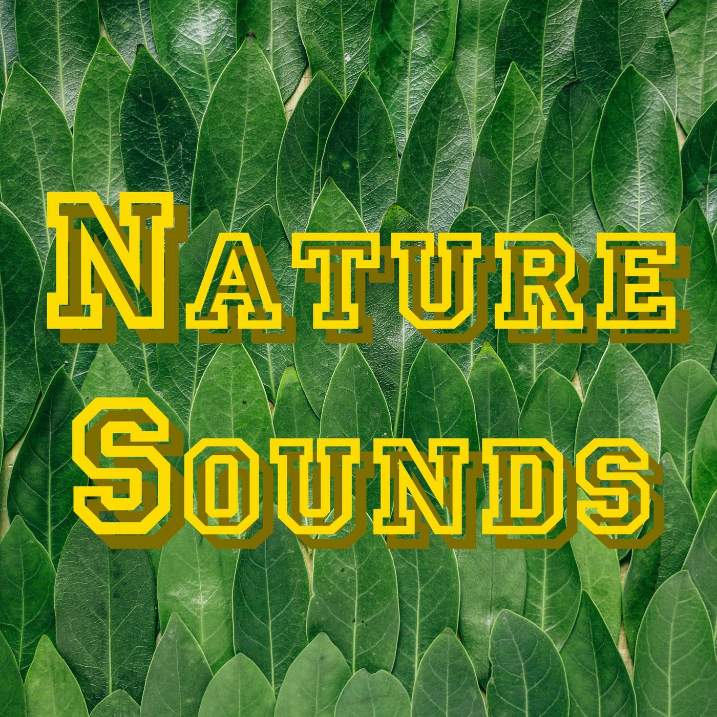 Nature Sounds Loopable