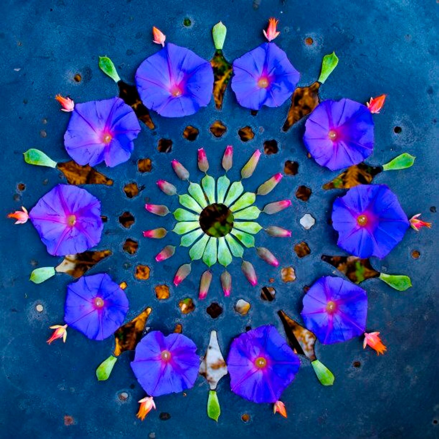 CREAZIONE CONSAPEVOLE - Trasformazione nel primo giorno di primavera 🌸 benvenuti nel cerchio di guarigione!! 🌺🌷🌻🌼☘️ episode artwork