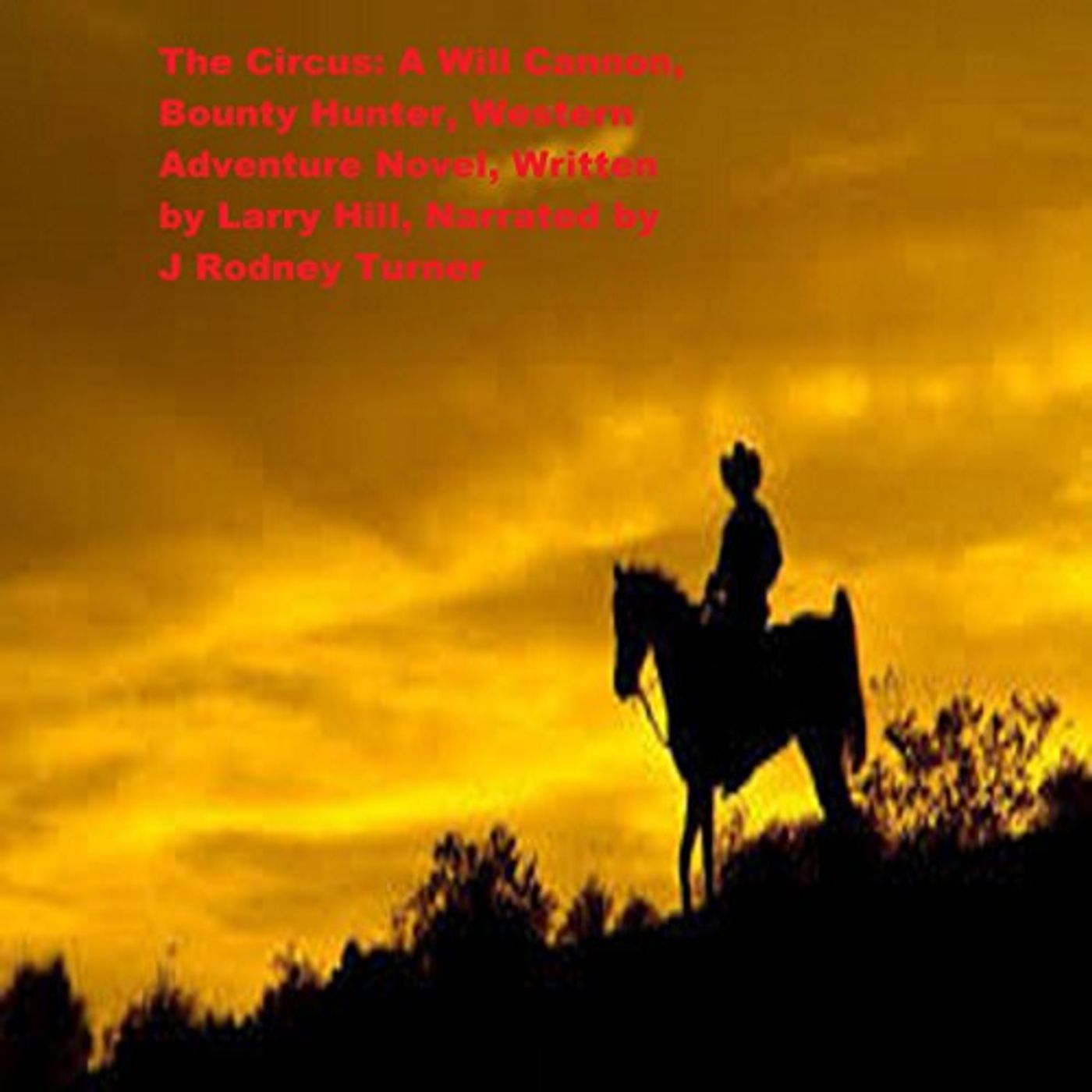 Listen to Most Popular Audiobooks in Fiction, Westerns