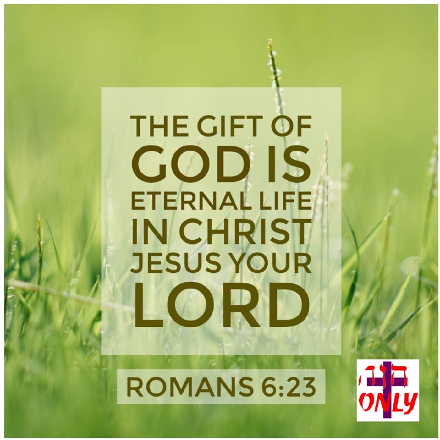 God\'s Encouragement