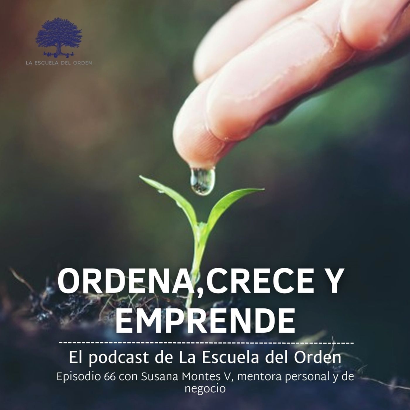Ordena, crece y emprende
