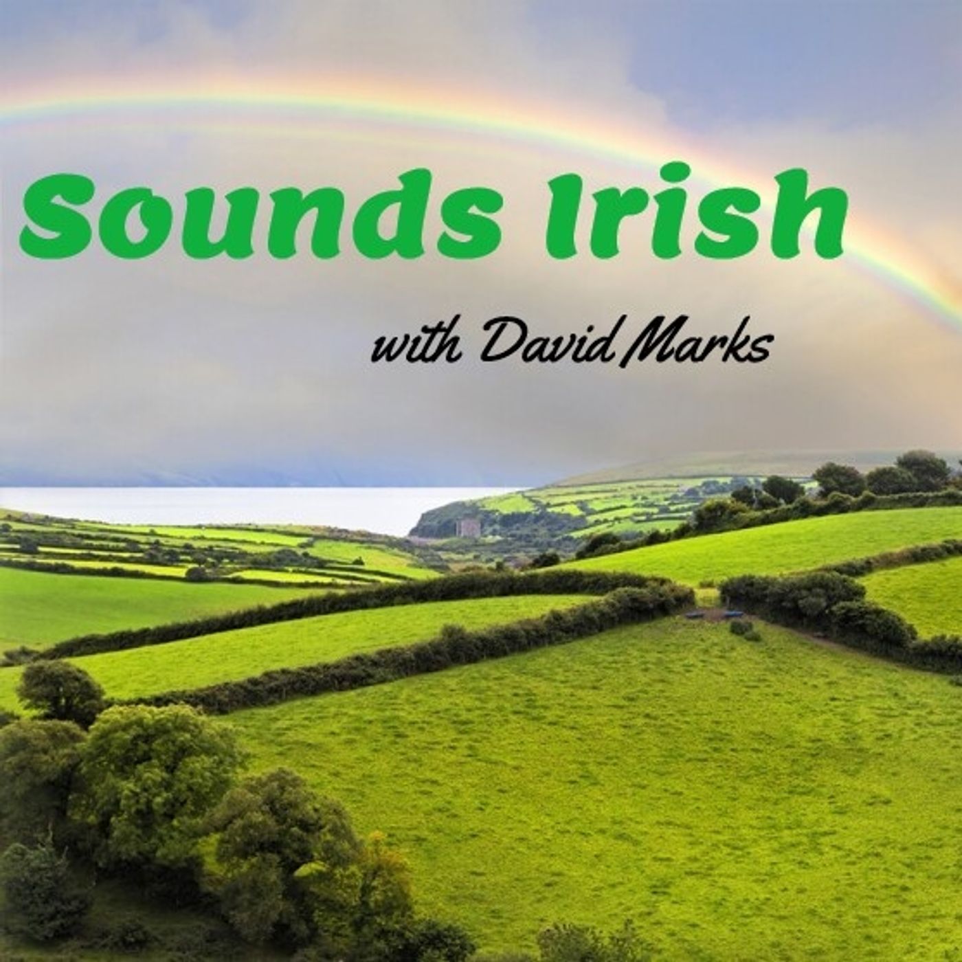 Sounds Irish with David Marks