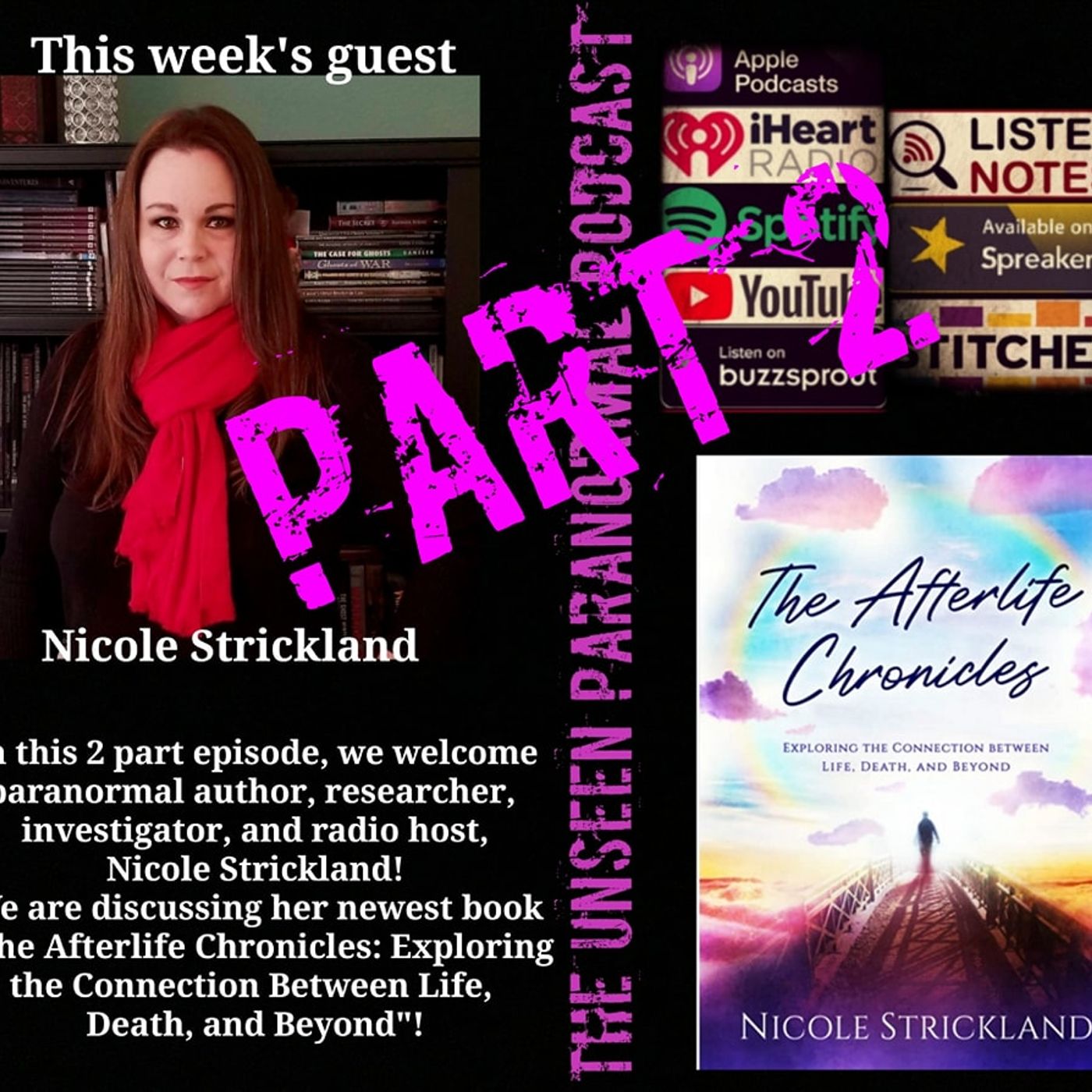 Afterlife Chronicles with Nicole Strickland Part 2 - podcast episode cover