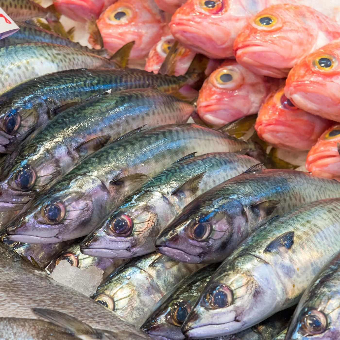 Recetuits: Pescaderías coruñesas, el Capitán Agallas y todo lo que hay que saber sobre el pescado