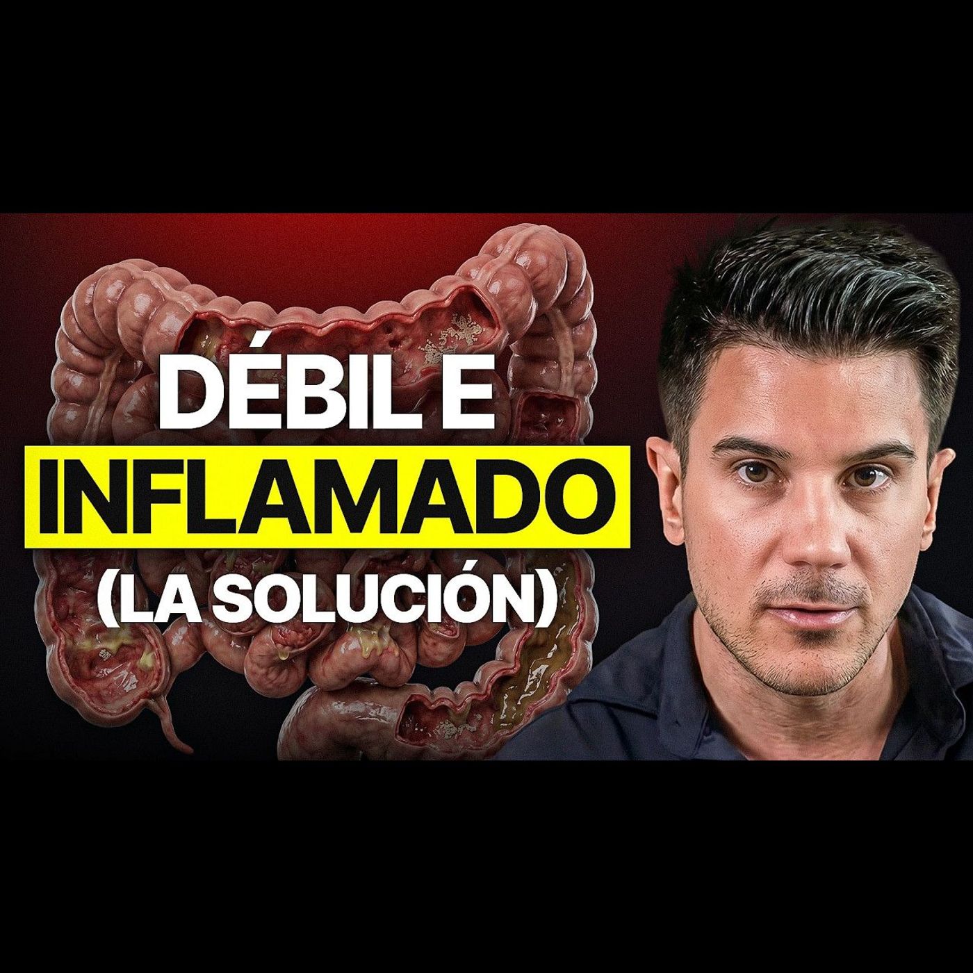 Tu INTESTINO es DÉBIL: aprende a entrenar tu sistema digestivo episode artwork
