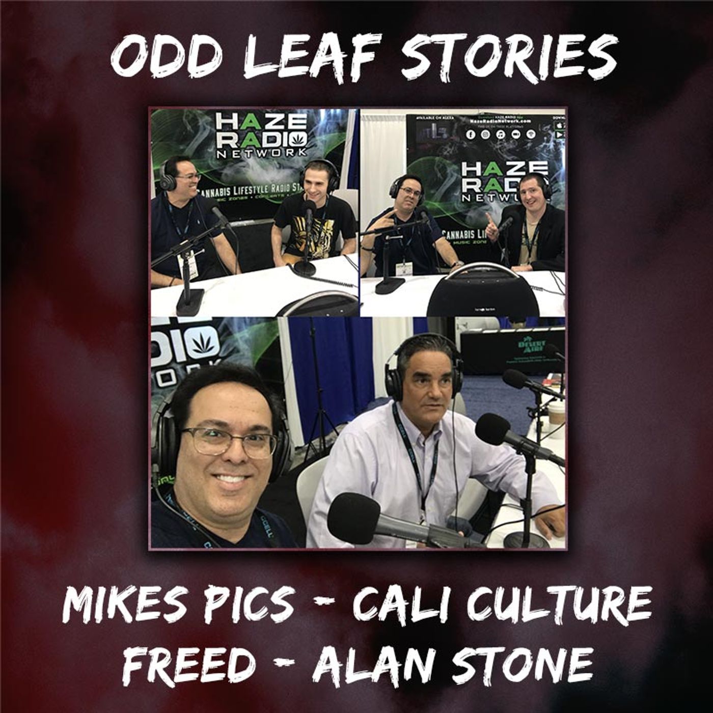Odd Leaf Stories | CWCBE LA | Mikes Pics - Cali Culture - FREED - Alan Stone episode artwork