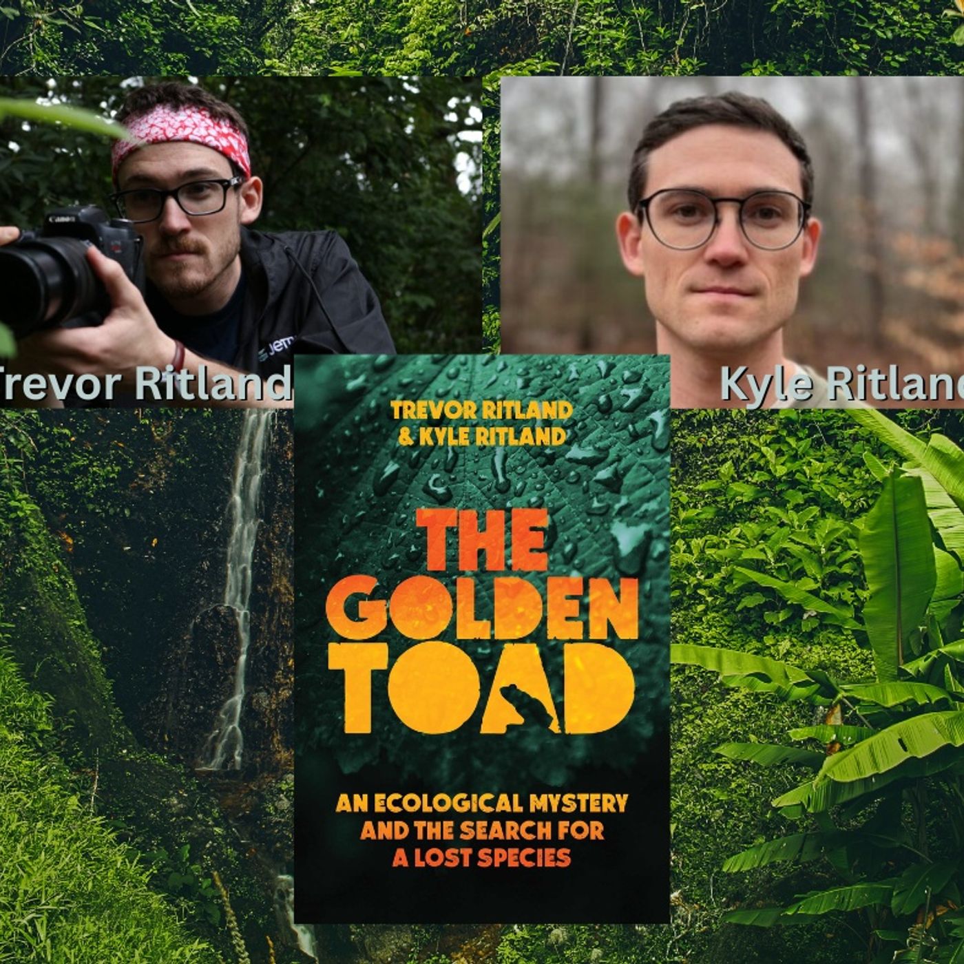 Episode 156: The Golden Toad – Hope, Loss, and the Power of Conservation Storytelling episode artwork