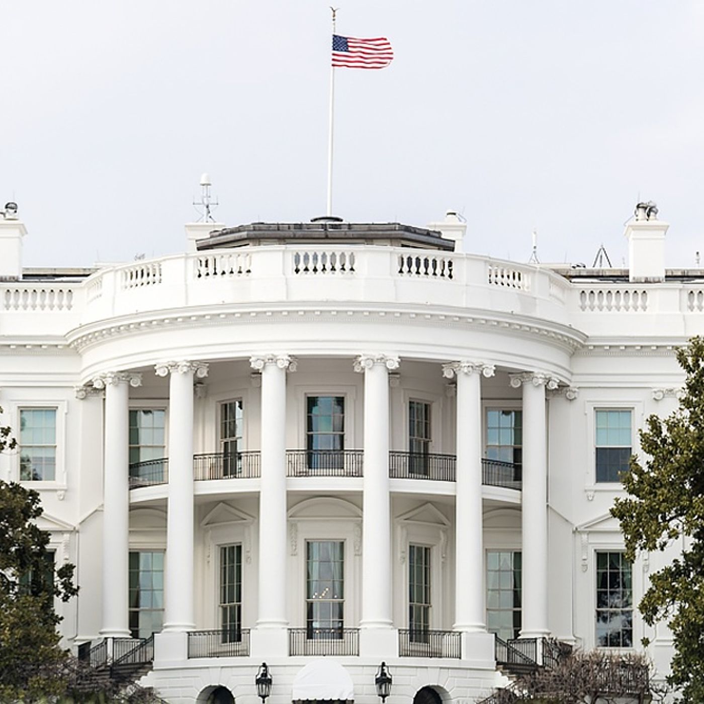 How Does Someone get Elected Or Appointed In The Executive Branch? episode artwork