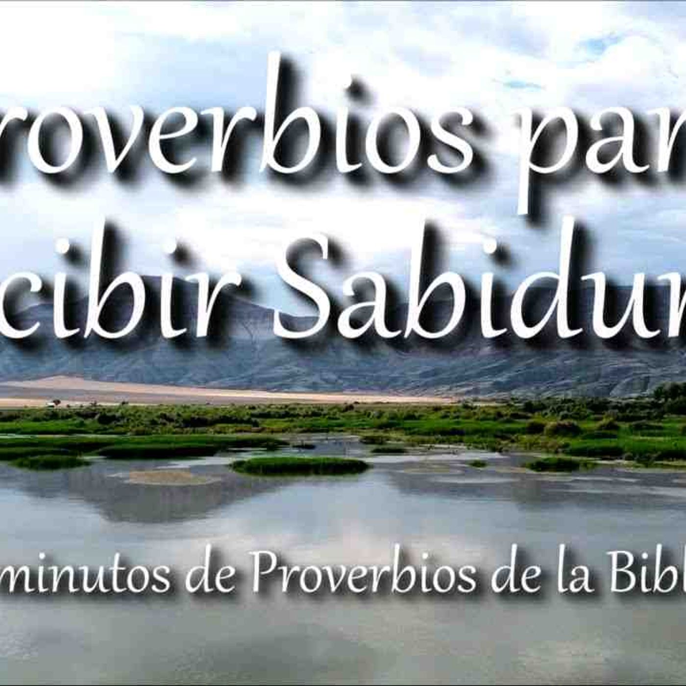 Proverbios para recibir sabiduría de parte de Dios _ Biblia hablada _ Bible audio Proverbs(MP3_160K)_5 episode artwork