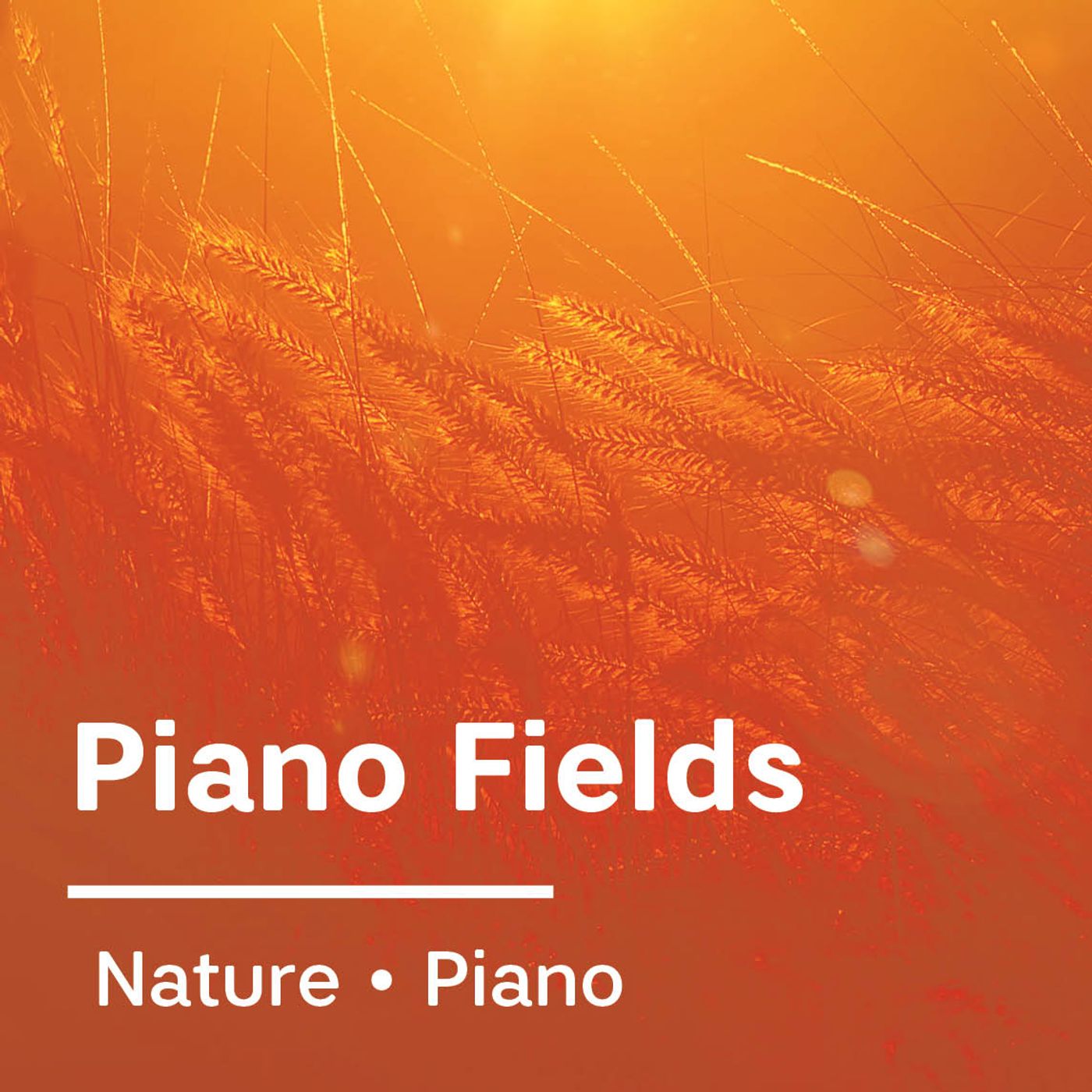 Piano Fields Piano Fields