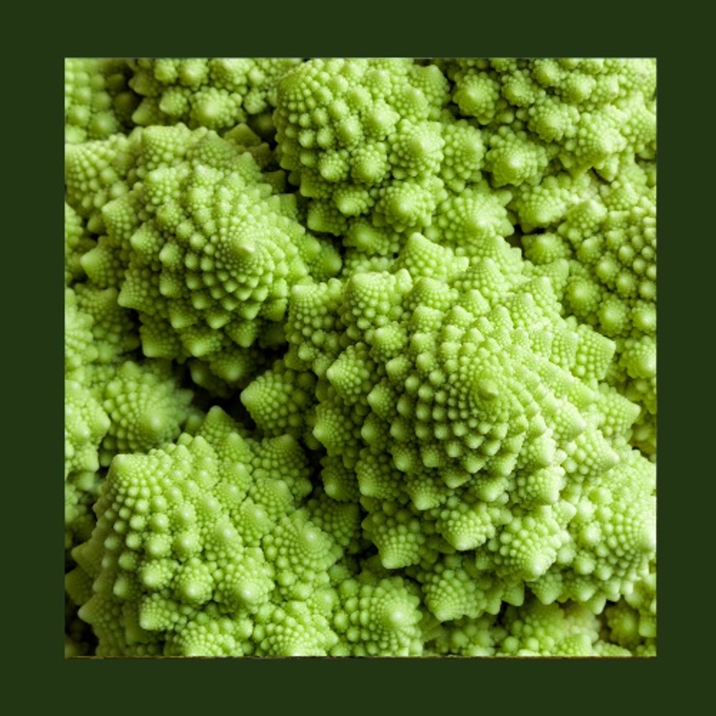Giardino Futuro