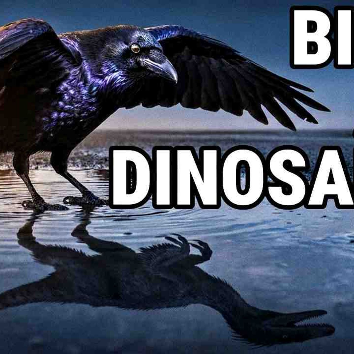 The First Birds _ Dinosaurs That Never Died _ Documentary For Sleep episode artwork