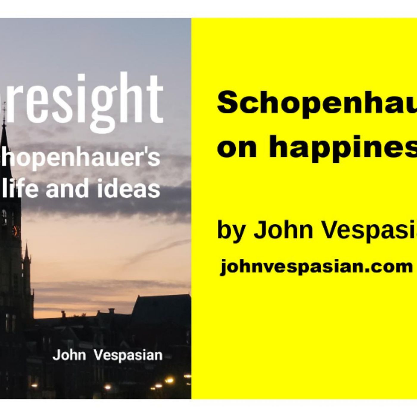 Schopenhauer on happiness episode artwork