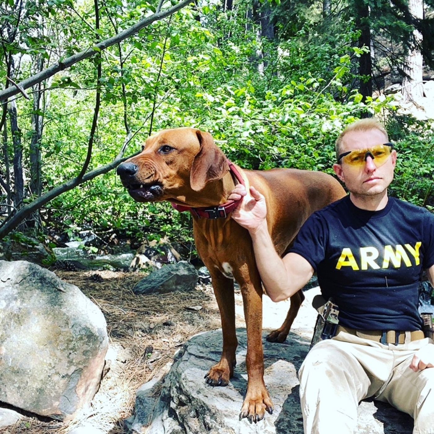 Alpha Dogs Strong Breeds for Strong Men