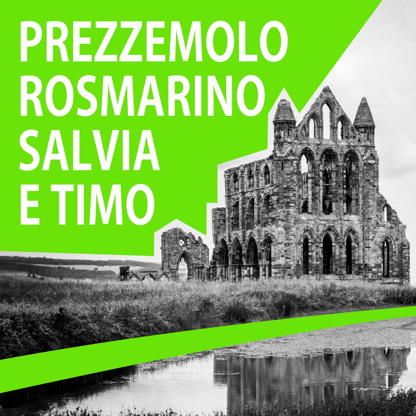 Cerebrotempesta