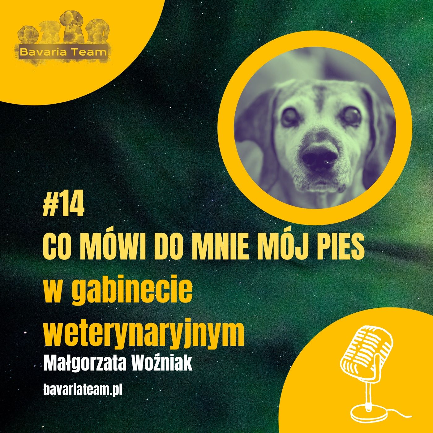 #14. Co mówi do mnie mój pies w gabinecie weterynaryjnym? episode artwork