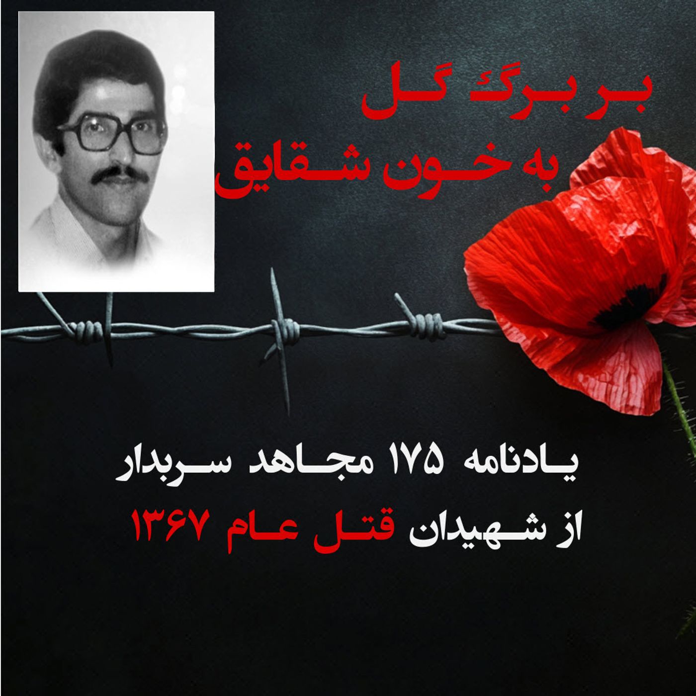 بربرگ گل به خون شقایق- حسین عبدالوهاب-۹۵ episode artwork