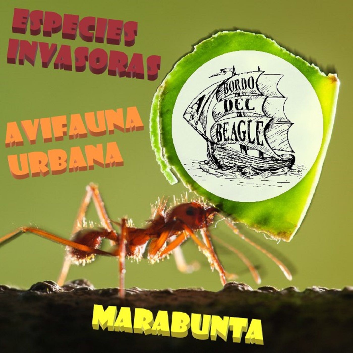 T1E03 Especies invasoras, Cuando ruge la marabunta y avifauna urbana con Fco. Javier García Gans