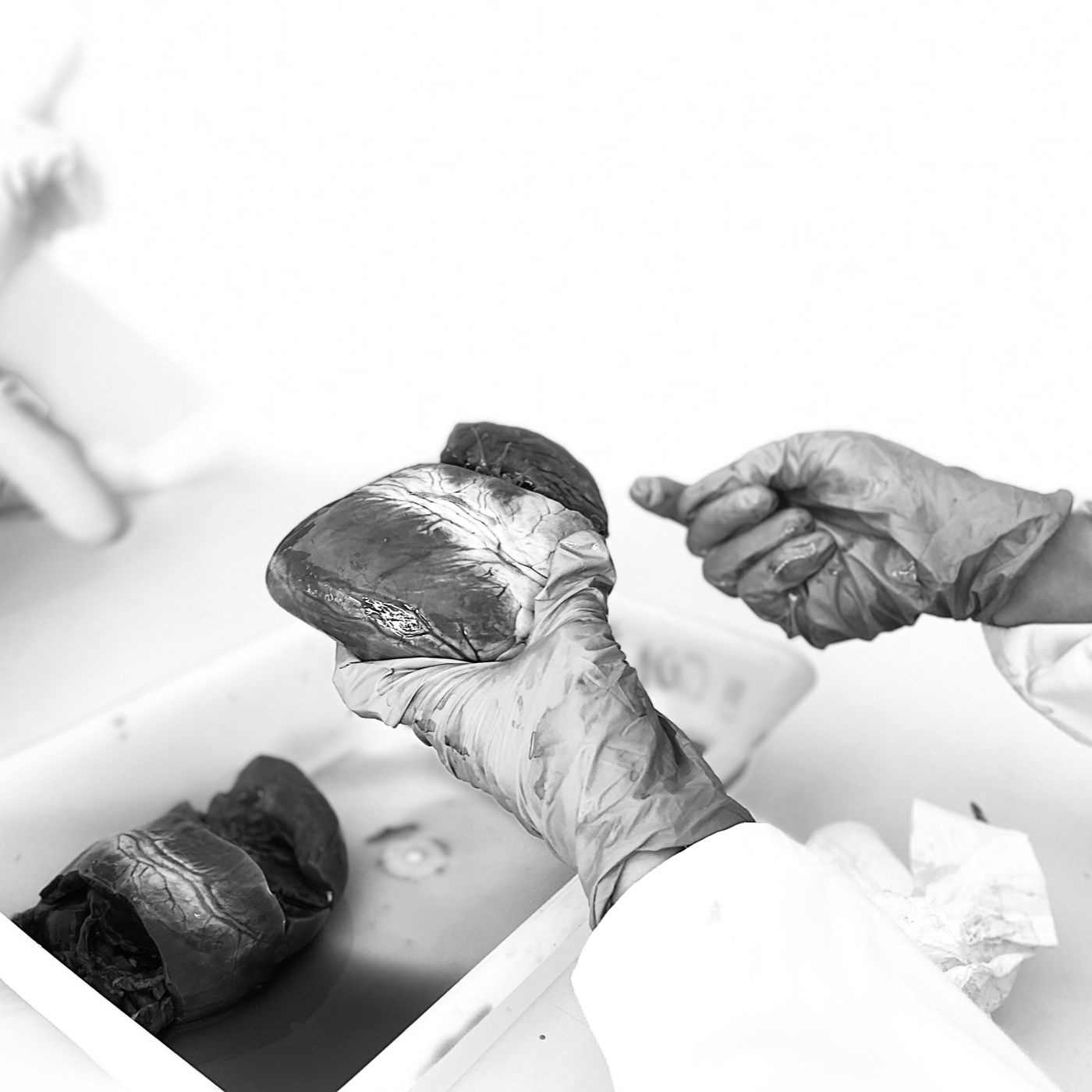 Biología 2º Bachillerato: El Podcast