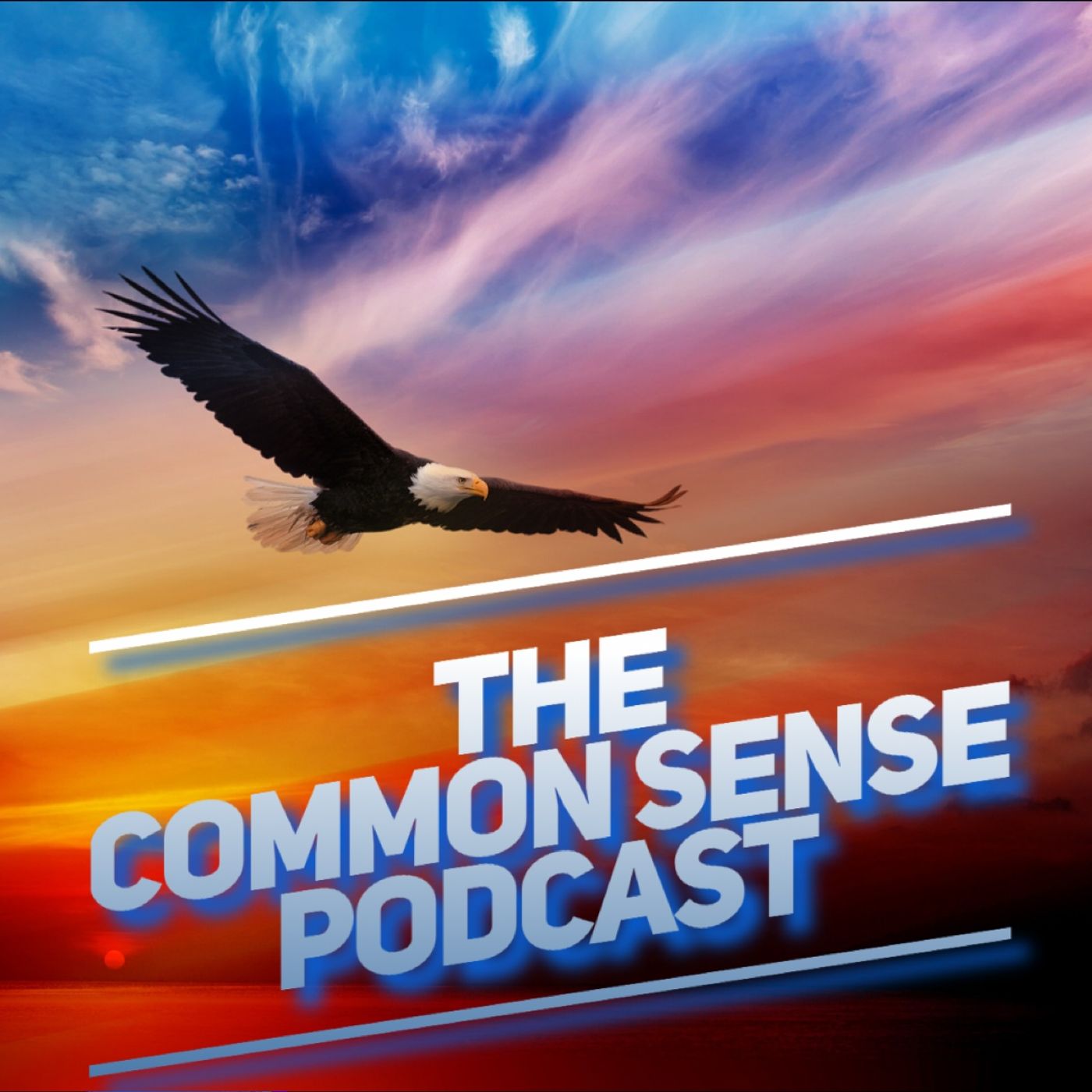 The Common Sense Podcast