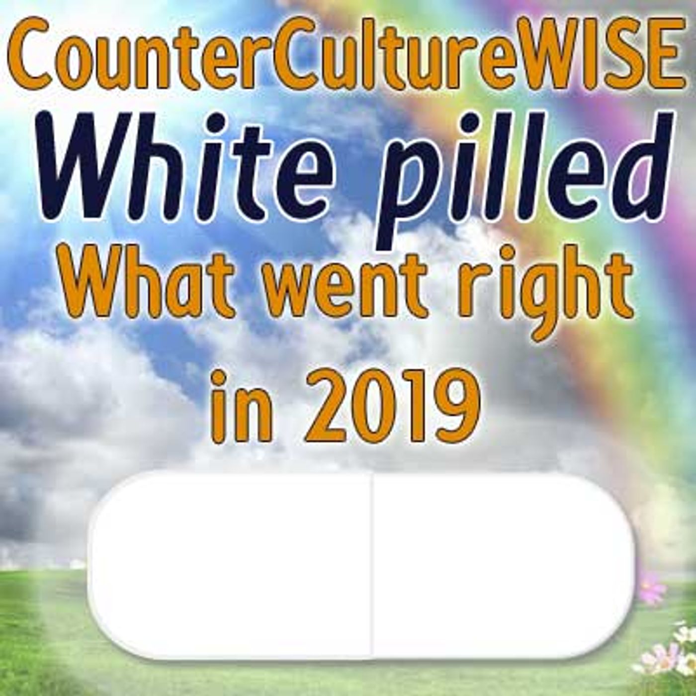 CounterCultureWISE