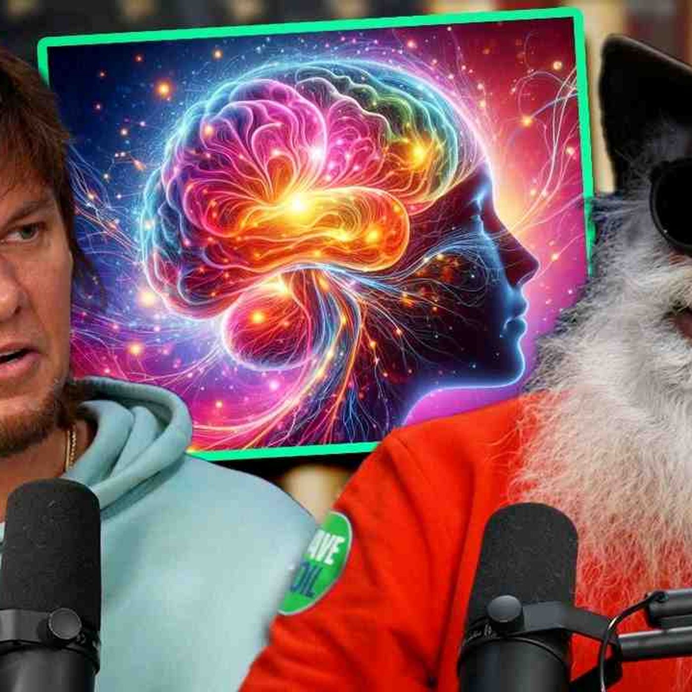 Sadhguru on How to Access More of Your Brainpower(MP3_160K) episode artwork
