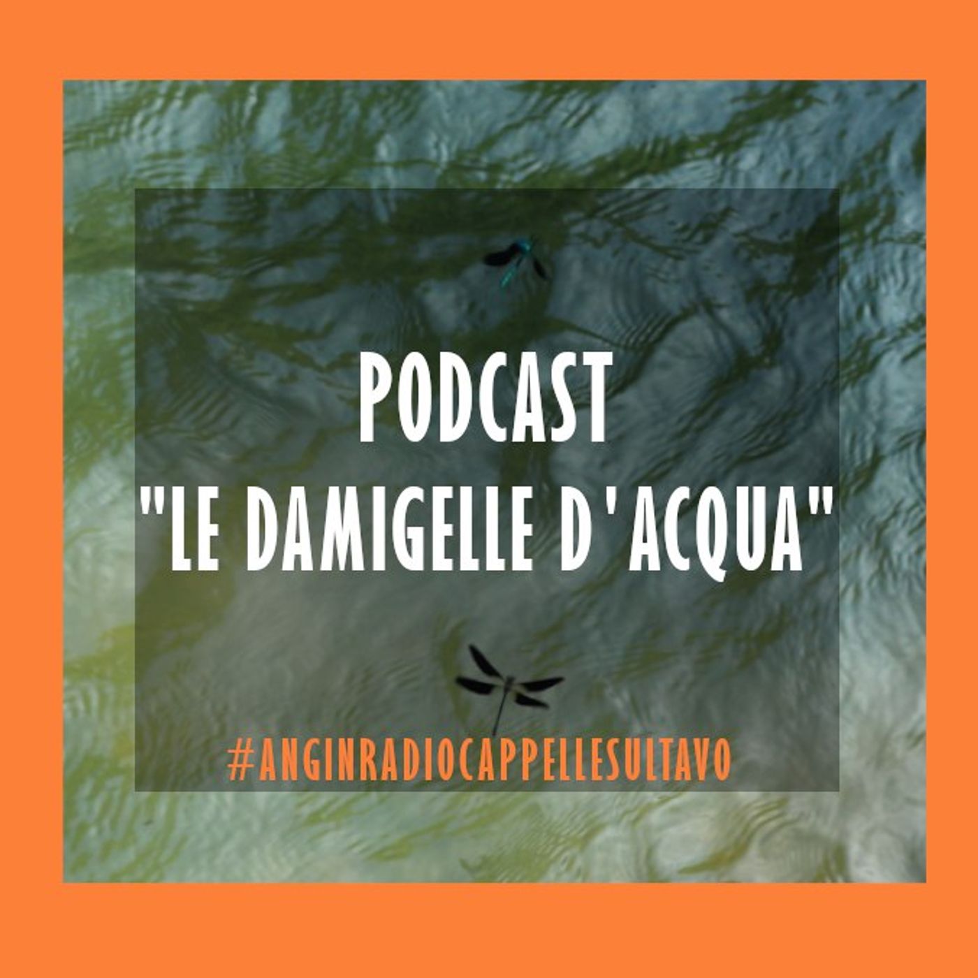 ANG inRadio Cappelle Sul Tavo