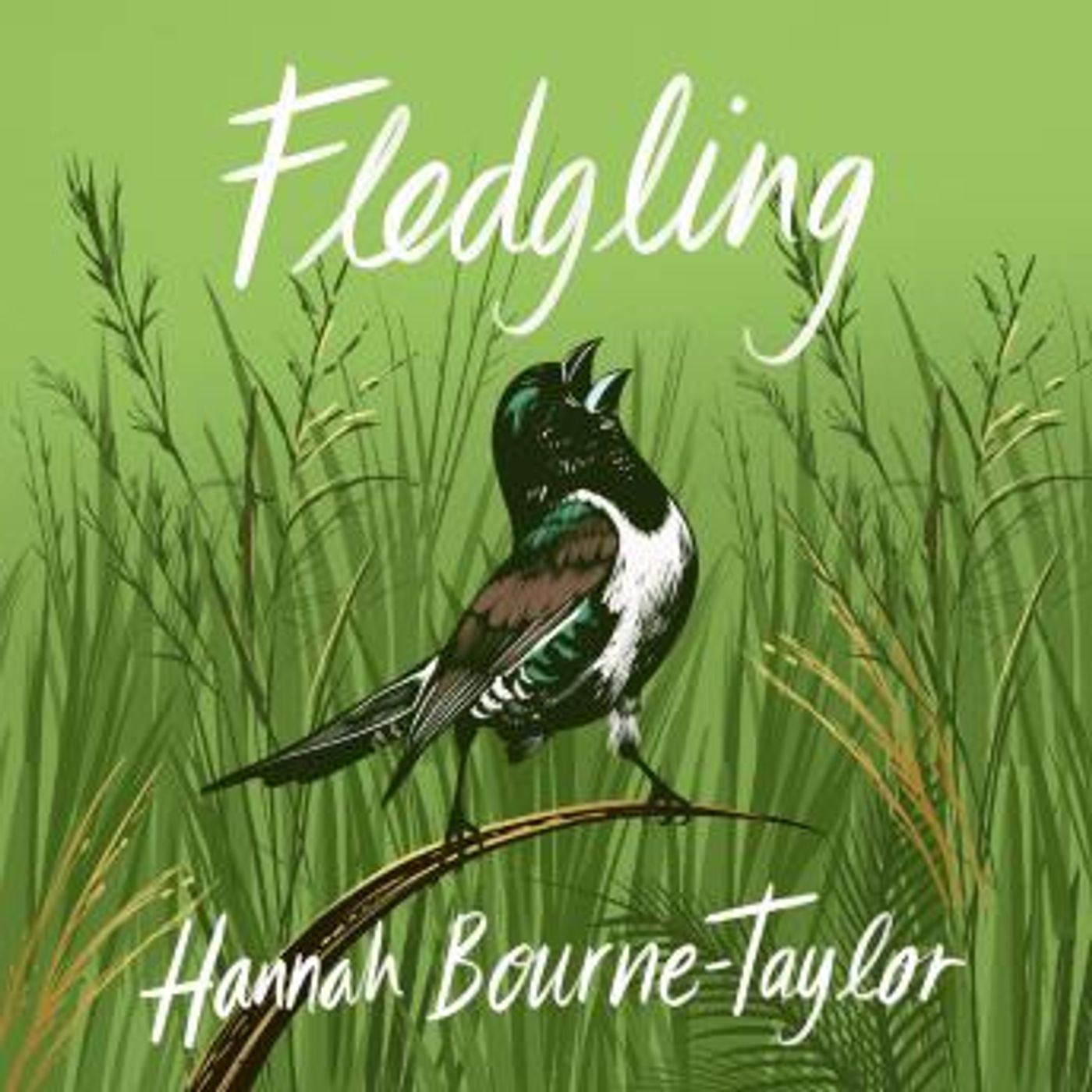 Download Top Full Audiobooks in Non-Fiction, Animals & Nature