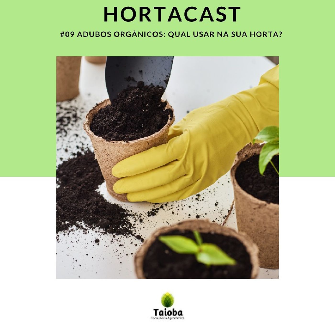 HortaCast\'s show